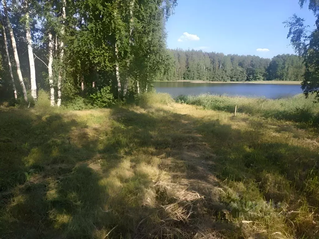 Участок в Ленинградская область, Приозерский район, Мельниковское ... - Фото 0