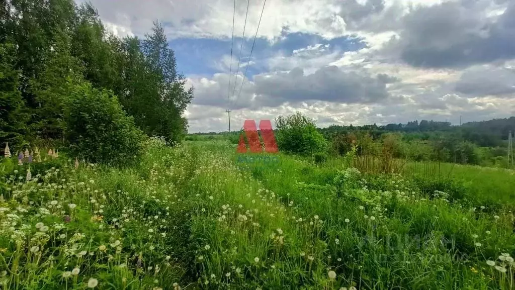 Участок в Ярославская область, Ярославский район, Кузнечихинское ... - Фото 0