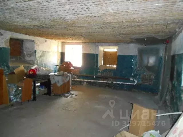 Помещение свободного назначения в Татарстан, Елабуга Казанская ул., 53 ... - Фото 1