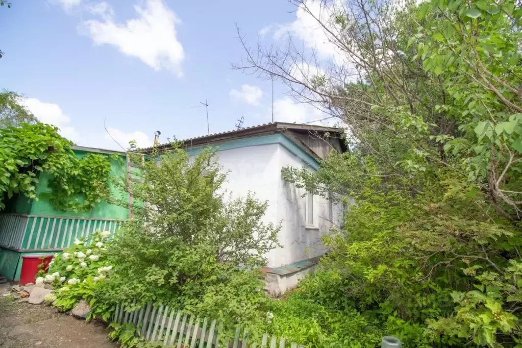 Дом в Амурская область, с. Ивановка пер. Высокий, 1 (82 м) - Фото 0