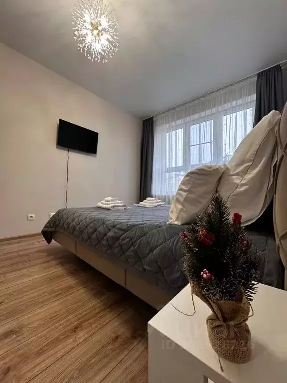 1-к кв. Адыгея, Майкоп ул. К.А. Васильева, 2к3 (41.0 м) - Фото 2