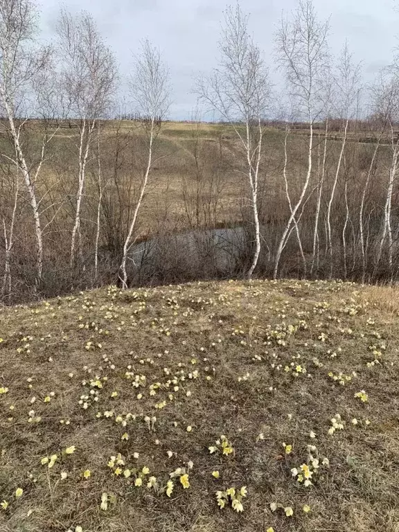 Участок в Саха (Якутия), Якутск  (17.0 сот.) - Фото 2