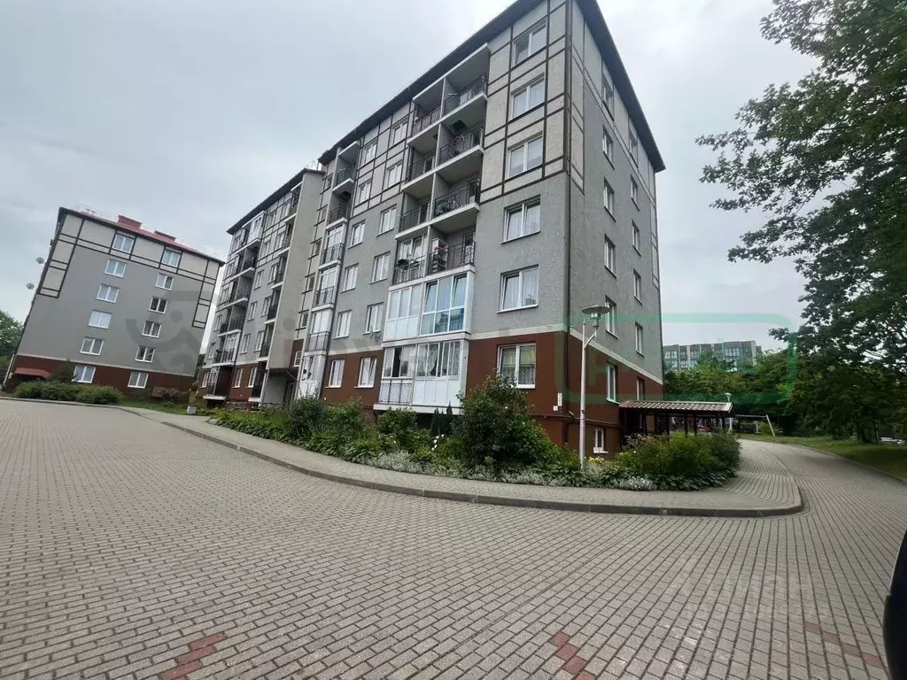 Помещение свободного назначения в Калининградская область, Светлогорск ... - Фото 2