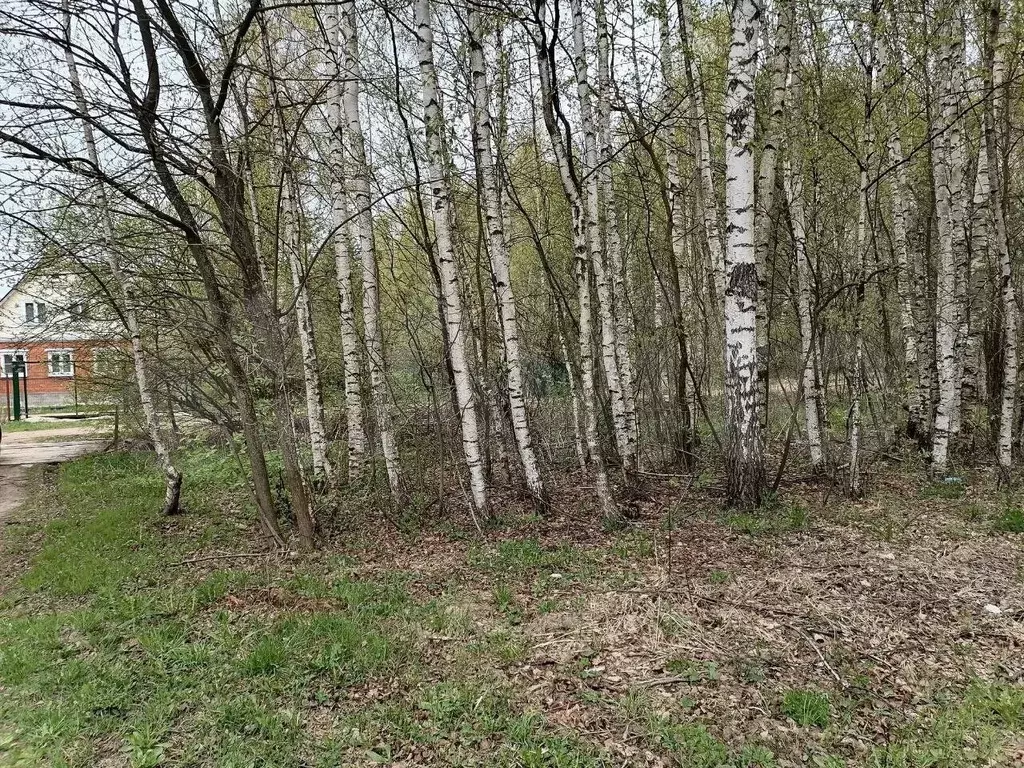 Участок 33 сот. (личное подсобное хозяйство (лпх)) - Фото 1
