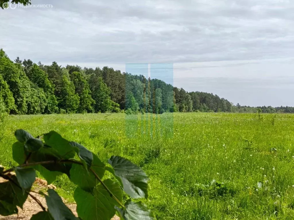 Участок в Московская область, городской округ Серпухов, деревня ... - Фото 1