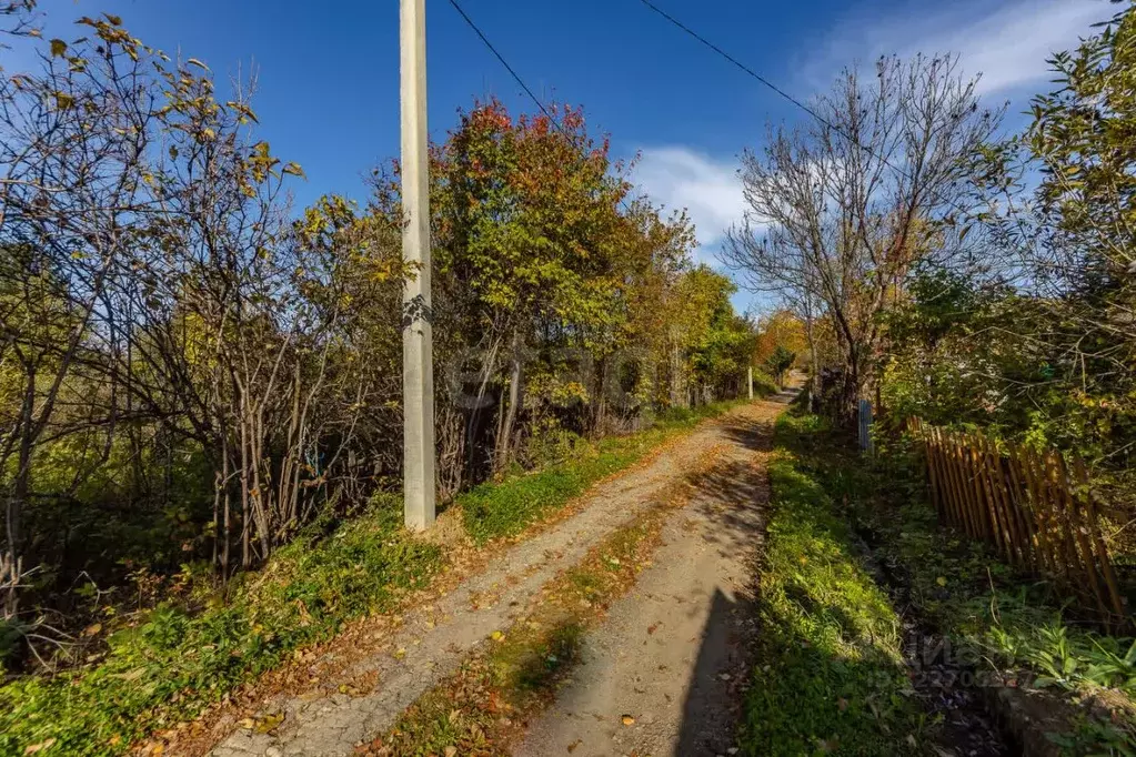 Участок в Хабаровский край, Хабаровский район, Рассвет СНТ 54 (11.75 ... - Фото 1