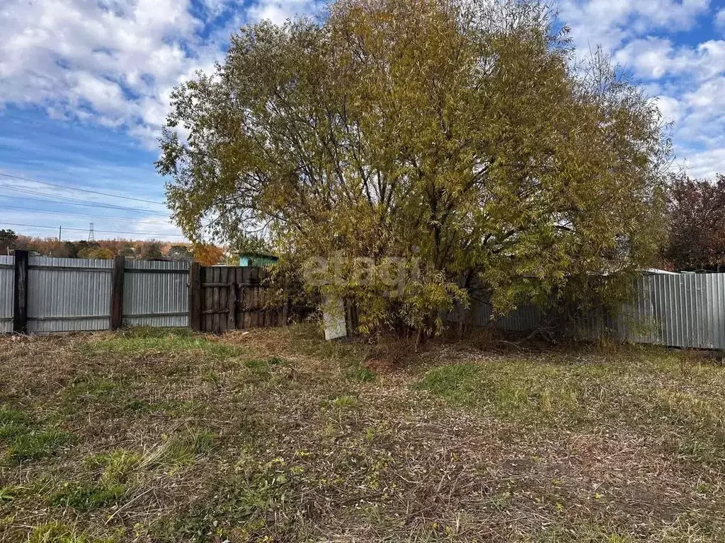 Участок в Амурская область, Благовещенск городской округ, с. Садовое  ... - Фото 1