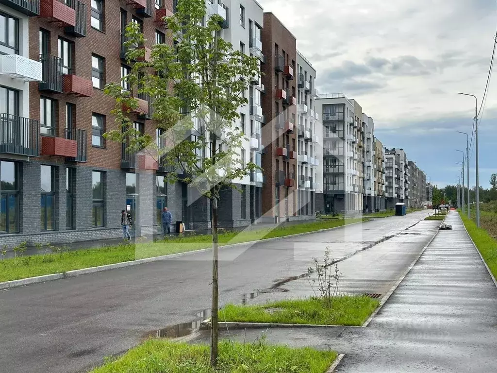 Помещение свободного назначения в Московская область, Одинцовский ... - Фото 1