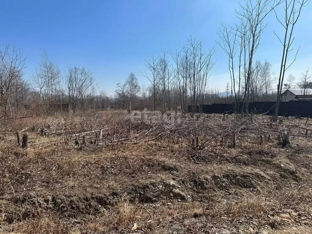 Участок в Приморский край, Артемовский городской округ, Искра СТ  ... - Фото 0