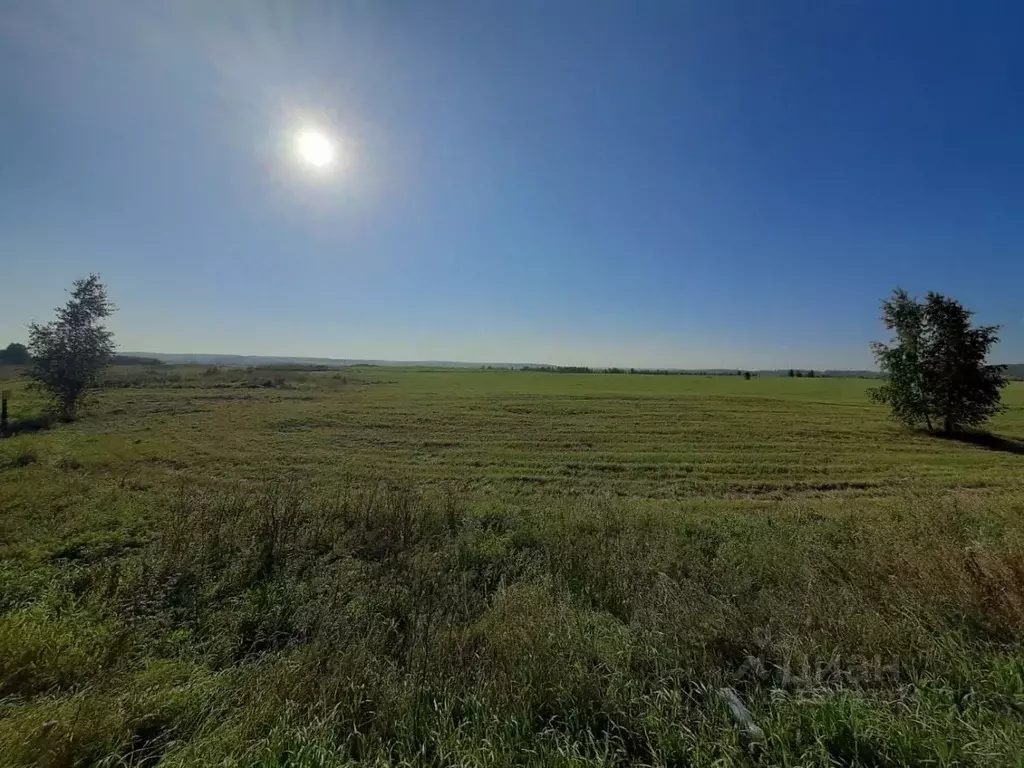 Участок в Челябинская область, Чебаркульский район, Травниковское ... - Фото 0