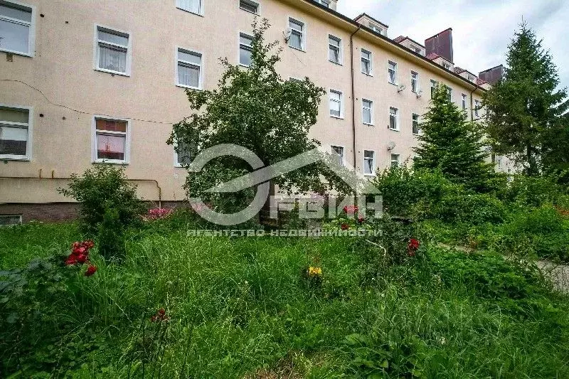 1-к кв. Калининградская область, Мамоново Артиллерийская ул., 10 (32.7 ... - Фото 1