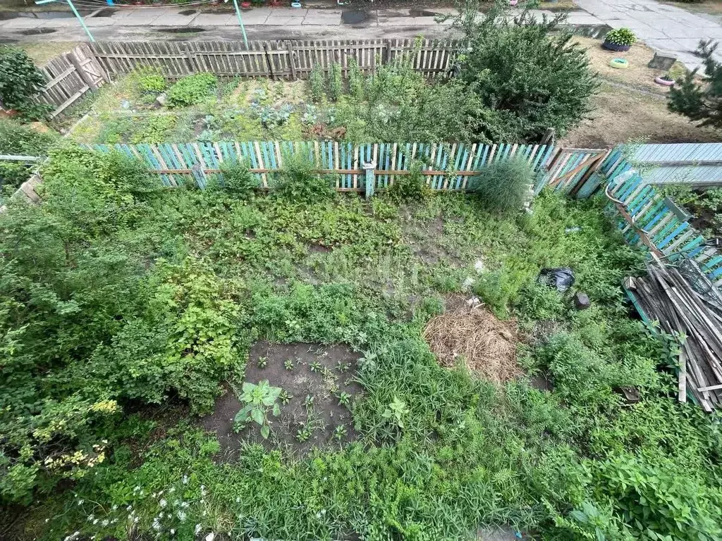 4-к кв. Амурская область, Ивановский муниципальный округ, с. Березовка ... - Фото 1