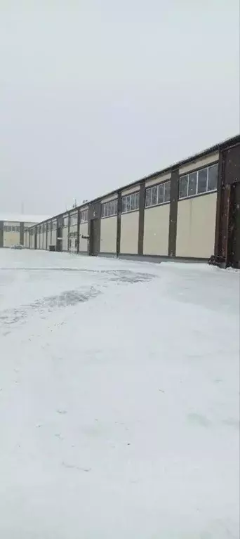 Склад в Московская область, Одинцово Южная ул., 8 (679 м) - Фото 1