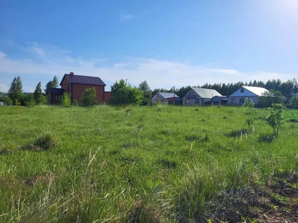 Участок в Московская область, Пушкино Заветы Ильича мкр, Лесная ул. ... - Фото 1