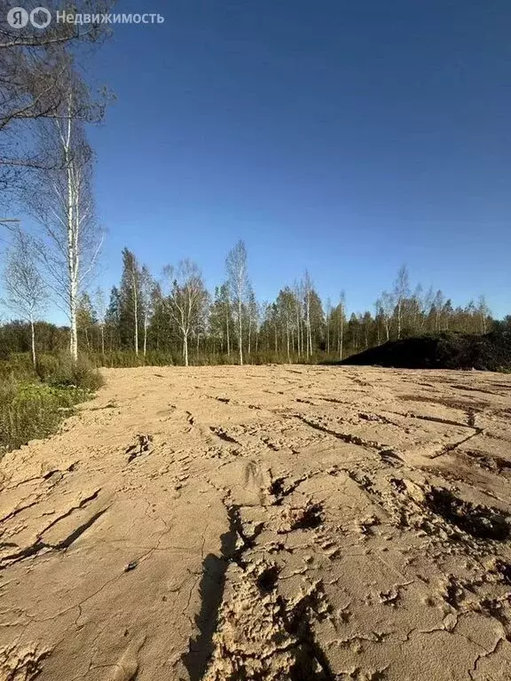 Участок в Ленинградская область, Гатчинский муниципальный округ, ... - Фото 0