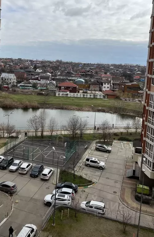 1-к кв. Краснодарский край, Краснодар Центральный мкр, ул. Кубанская ... - Фото 2