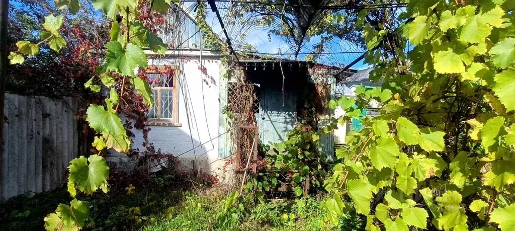 Участок в Ставропольский край, Кисловодск Юбилейное СТ, 46 (3.9 сот.) - Фото 1