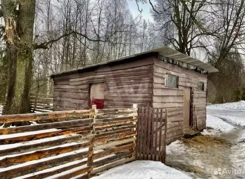 Участок в Псковская область, Порховский муниципальный округ, д. ... - Фото 2