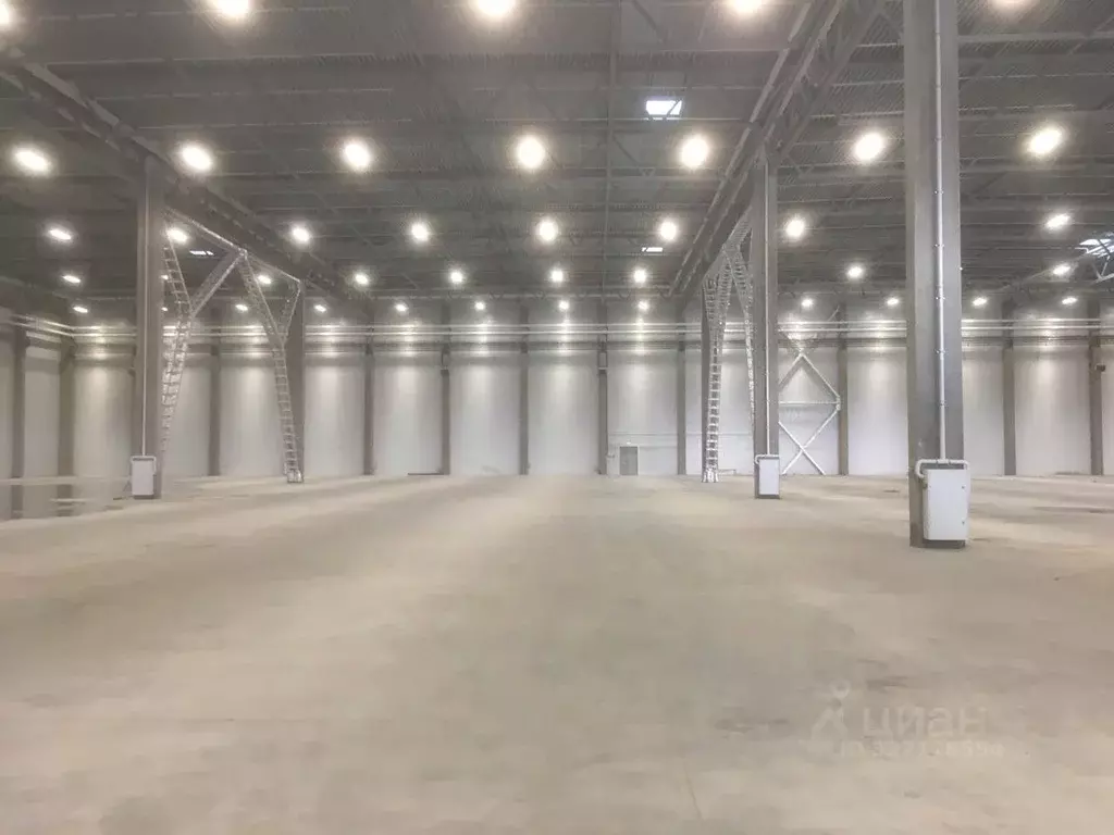 Склад в Московская область, Богородский городской округ, пос. Зеленый ... - Фото 2