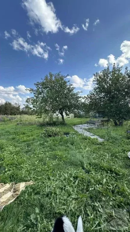 Дом в Нижегородская область, Арзамас городской округ, с. Красное ул. ... - Фото 1