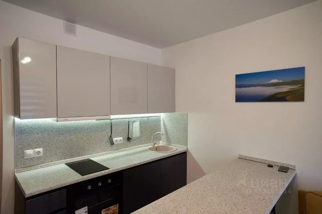 Студия Московская область, Люберцы ул. Летчика Ларюшина, 6к2 (20.0 м) - Фото 2