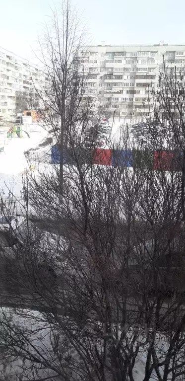 1-к кв. Самарская область, Тольятти Тополиная ул., 9 (46.0 м) - Фото 2