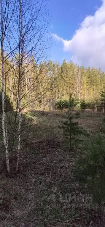 Участок в Свердловская область, Сысертский муниципальный округ, ... - Фото 0
