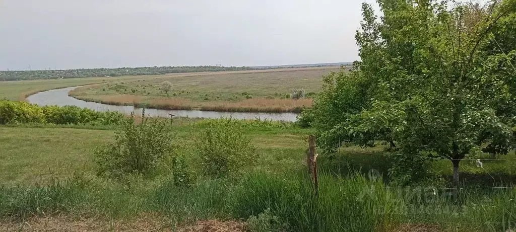 Дом в Ростовская область, Неклиновский район, Андреево-Мелентьевское ... - Фото 1