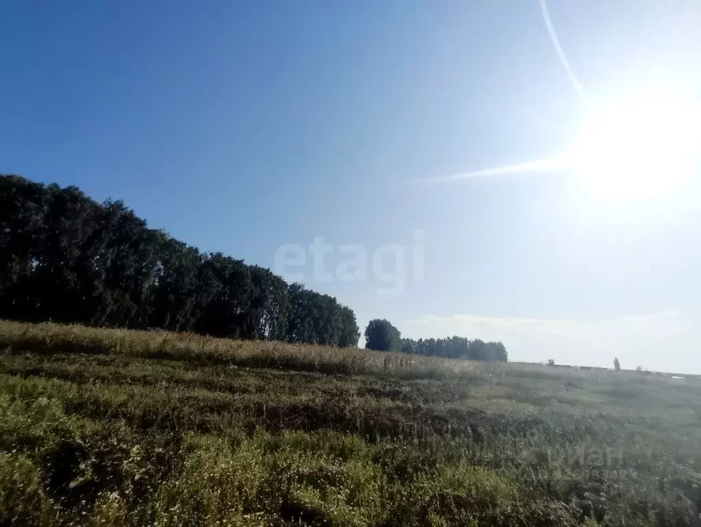 Участок в Башкортостан, Кугарчинский район, Мраковский сельсовет, д. ... - Фото 1