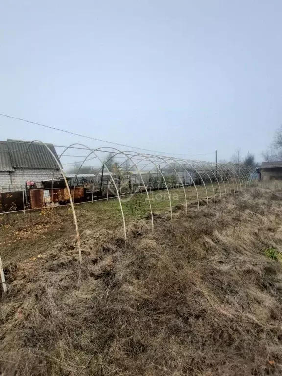 Участок в Волгоградская область, Городищенский район, Орловское с/пос, ... - Фото 1