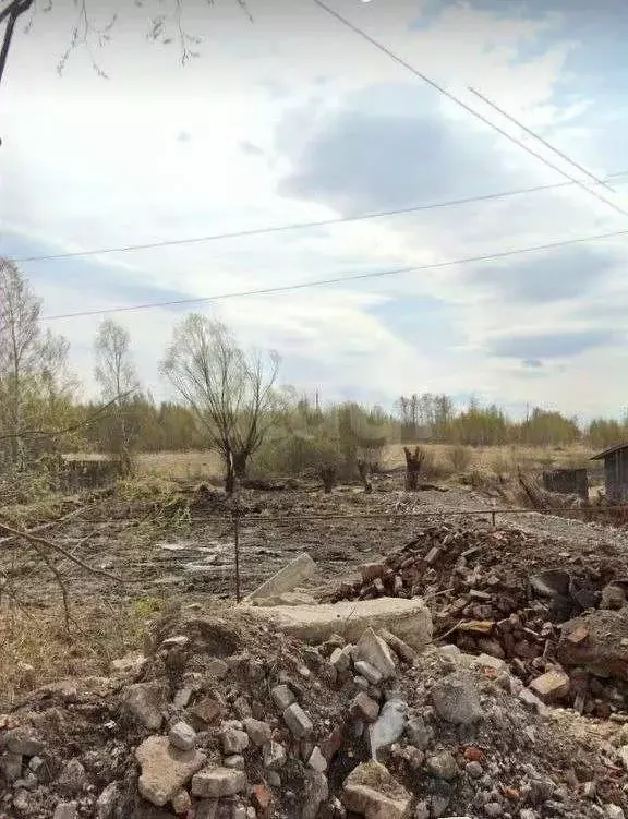 Участок в Владимирская область, Муромский район, д. Александровка ул. ... - Фото 1