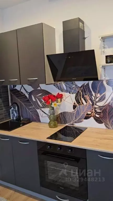 Студия Москва Муравская ул., 38Бк2 (20.0 м) - Фото 2