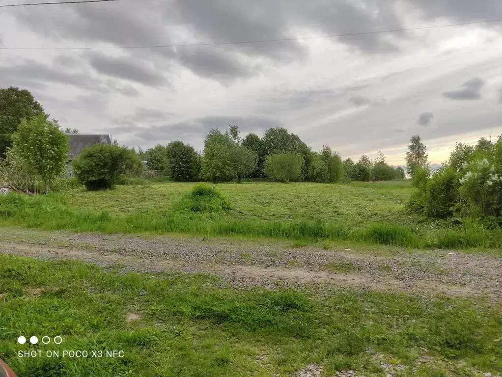 Участок в Ярославская область, Пошехонский муниципальный округ, ... - Фото 1