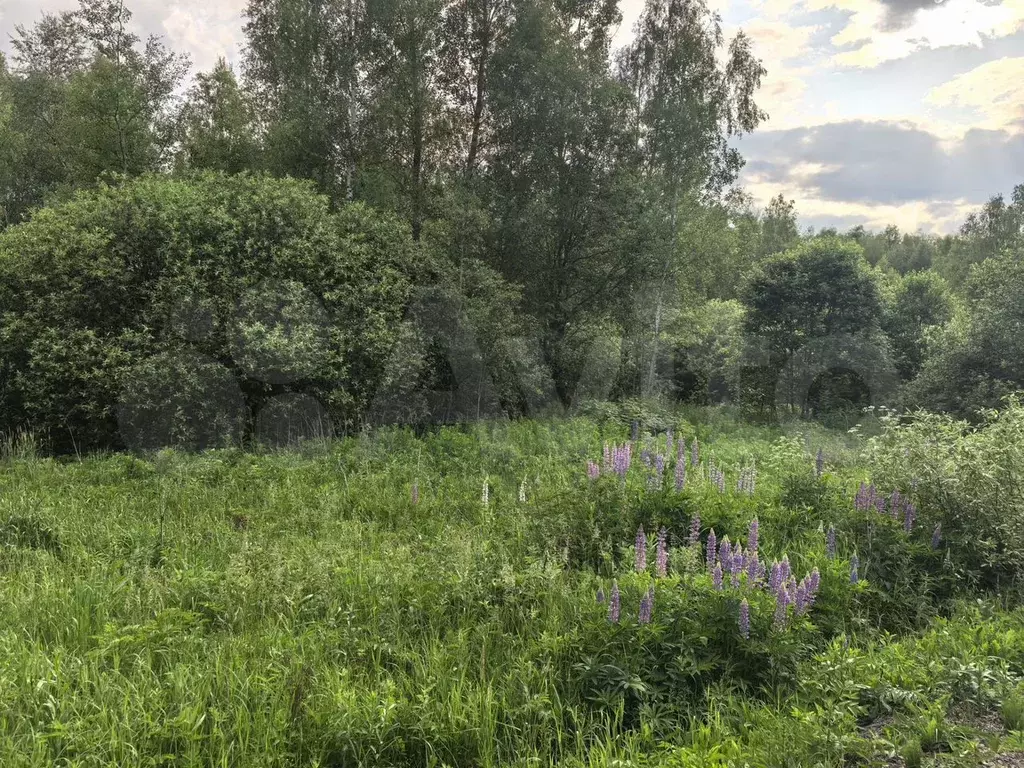 Участок 10 сот. (СНТ, ДНП) - Фото 1