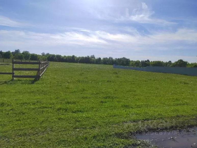 Участок в Алтайский край, Красногорский район, с. Быстрянка ул. ... - Фото 2