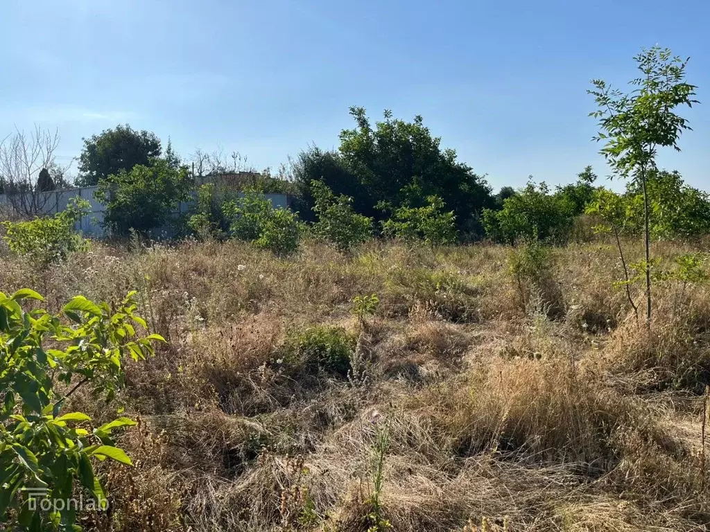 Участок в Кабардино-Балкария, Зольский район, Залукокоаже городское ... - Фото 2