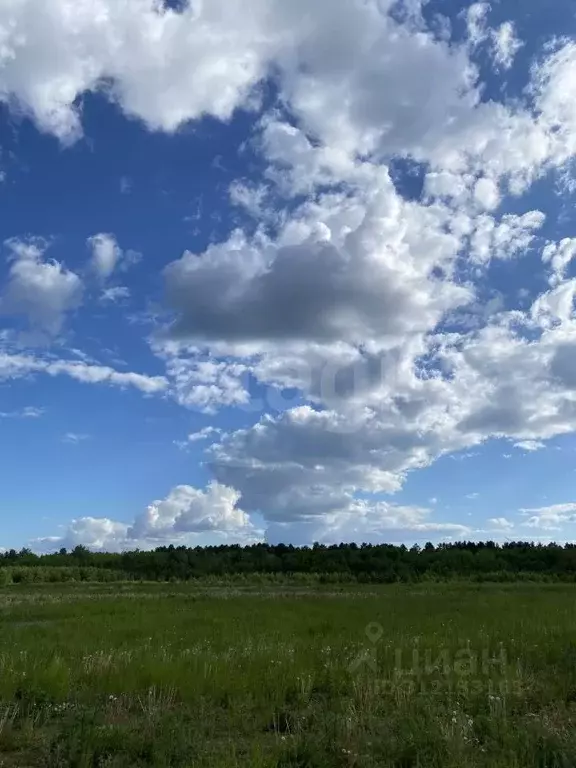 Участок в Тюменская область, Ялуторовский район, Березка СНТ  (12.43 ... - Фото 1