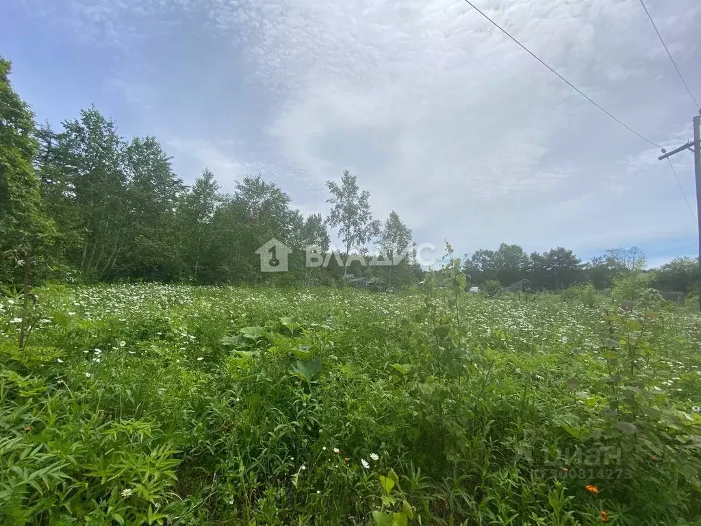 Участок в Сахалинская область, Корсаковский городской округ, с. Первая ... - Фото 1