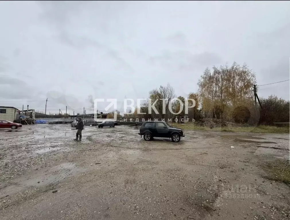 Участок в Костромская область, Кострома Первый кп,  (38.5 сот.) - Фото 1