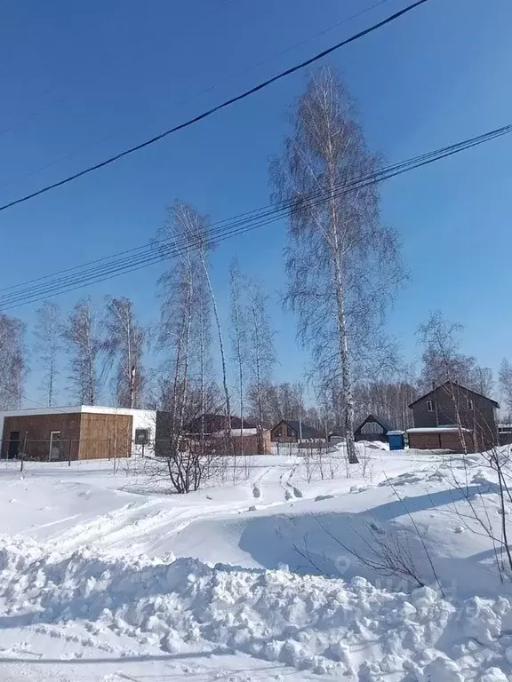 Участок в Новосибирская область, Новосибирский район, Криводановский ... - Фото 1