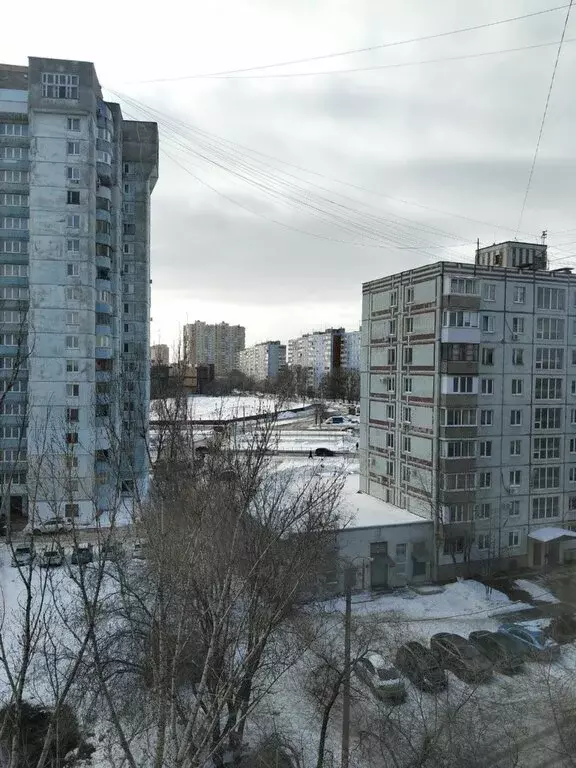 1-комнатная квартира: Самара, Ташкентская улица, 141 (22 м) - Фото 1