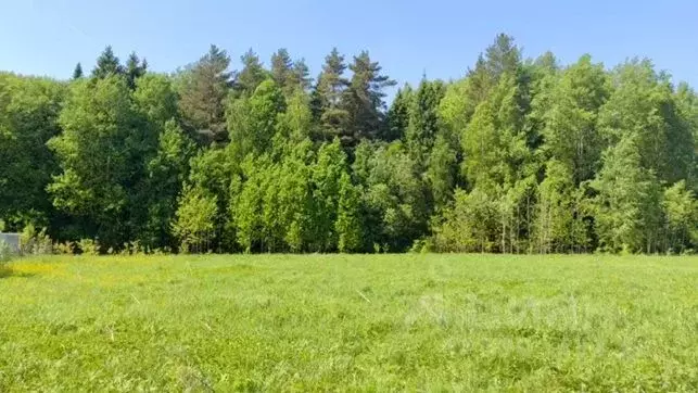 Участок в Московская область, Щелково городской округ, д. Костыши ул. ... - Фото 1