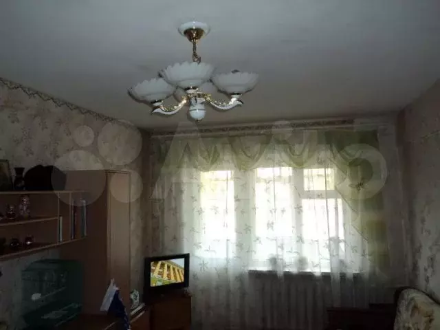 1-к. квартира, 31,8 м, 1/5 эт. - Фото 1
