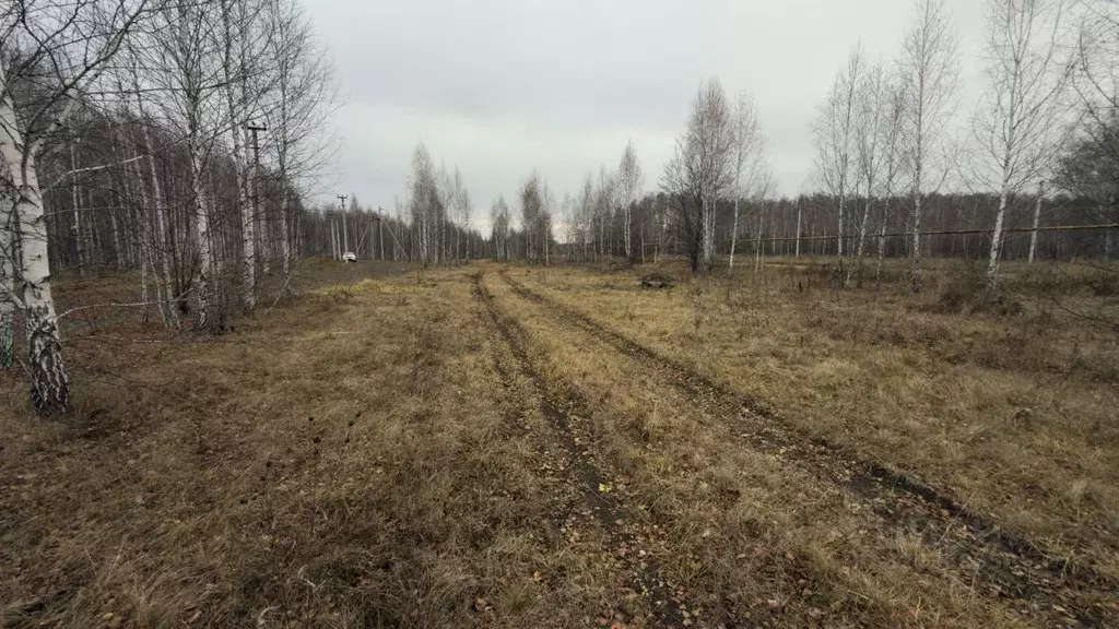 Участок в Челябинская область, Аргаяшский муниципальный округ, д. ... - Фото 1