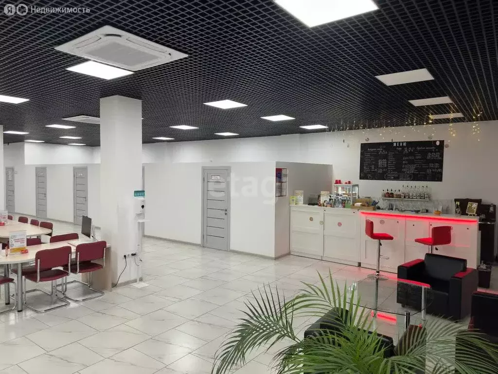 Офис (260 м) - Фото 2
