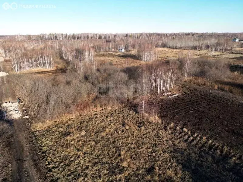 Участок в Тюменская область, Нижнетавдинский муниципальный округ, ... - Фото 2