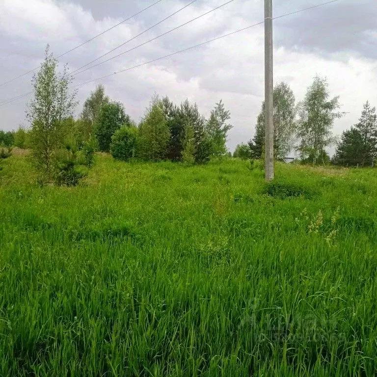 Участок в Тверская область, Калининский муниципальный округ, д. ... - Фото 1