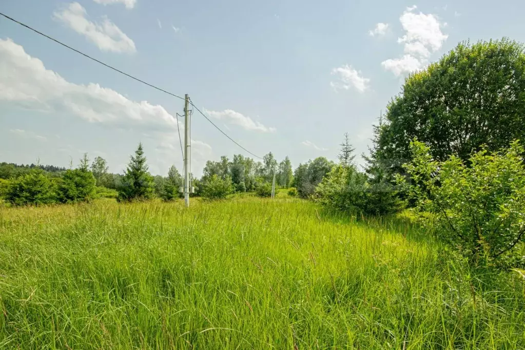 Участок в Московская область, Наро-Фоминский городской округ, д. ... - Фото 2