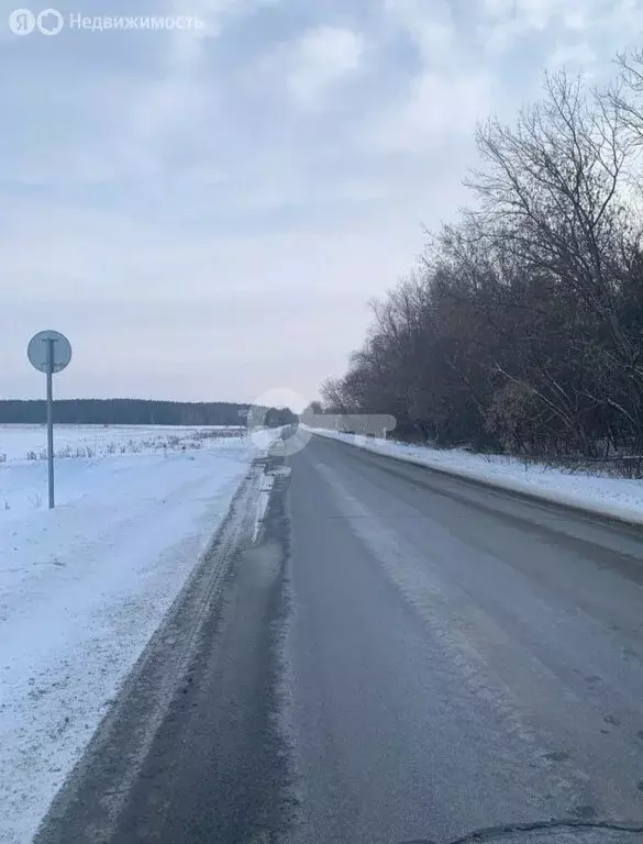 Участок в Лаишевский район, Рождественское сельское поселение, село ... - Фото 1