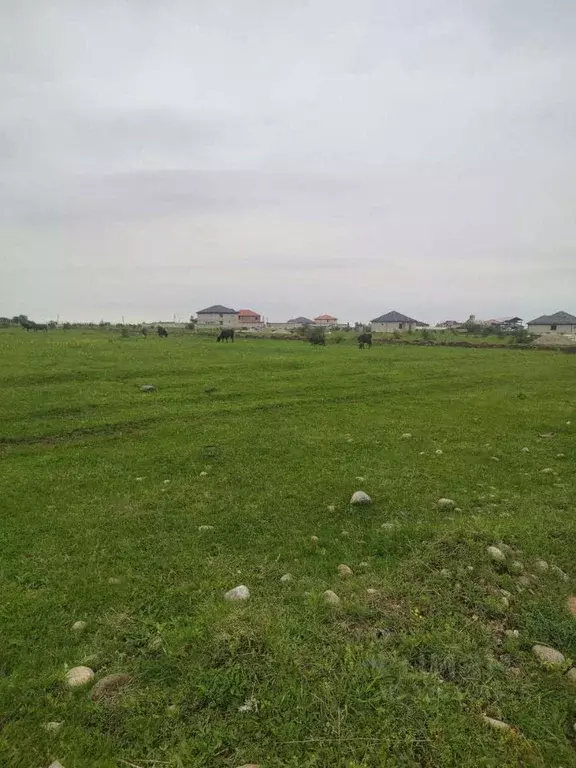 Участок в Кабардино-Балкария, Чегемский район, с. Шалушка, ККРС мкр  ... - Фото 2